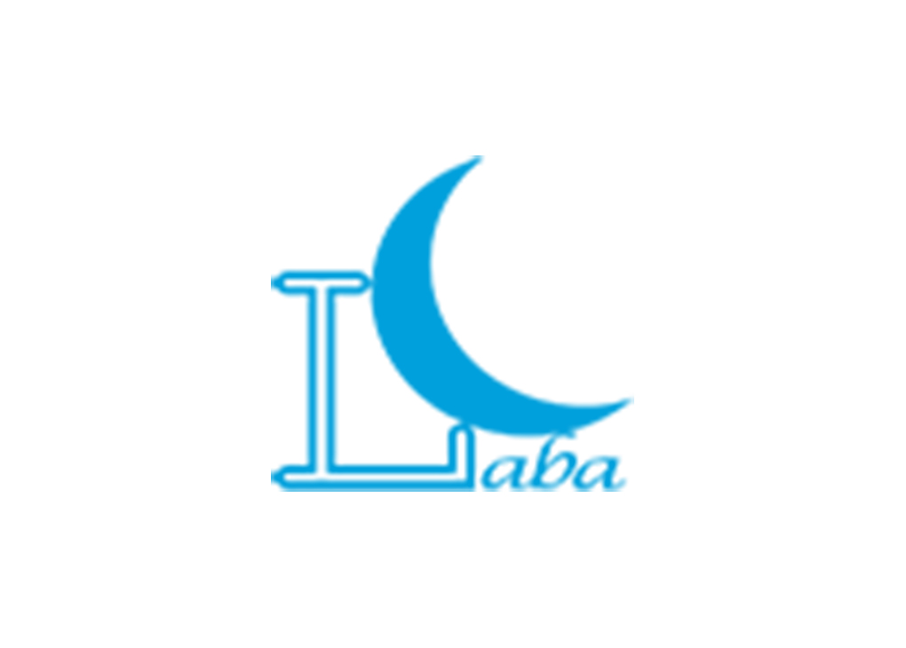 LABA IT Training Center